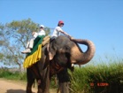 C touches trunk