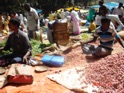 Farmers' market
